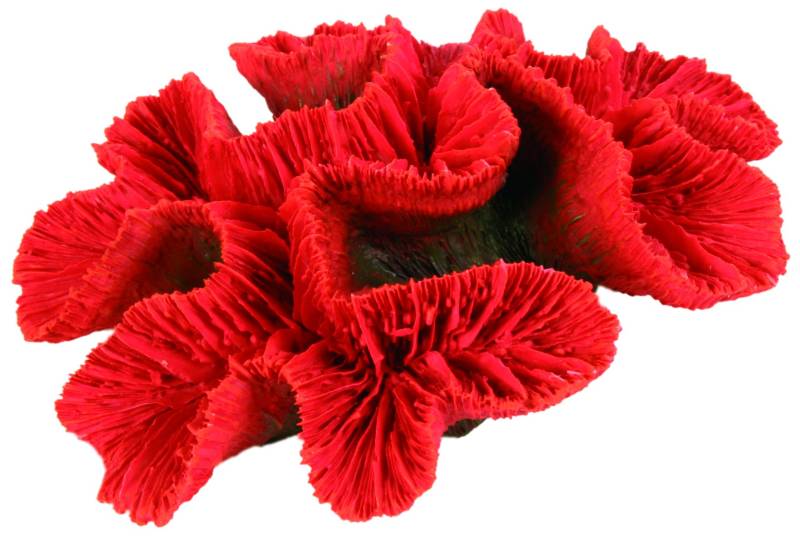 TX-8839 Button Coral 17 CM von Trixie