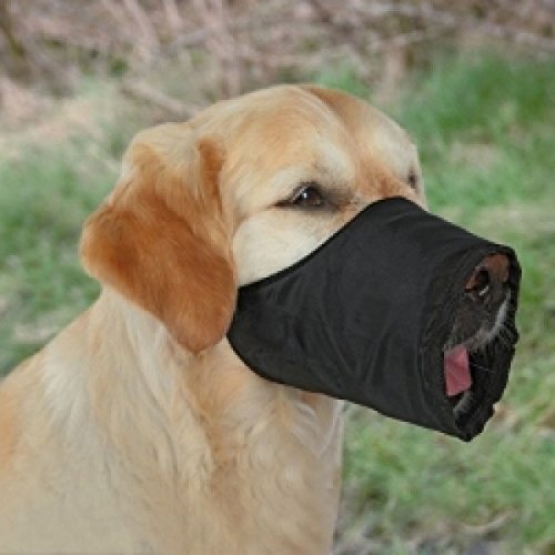TRIXIE Museliere polyester L noir pour chien TRIXIE Museliere polyester L noir pour chien von Trixie