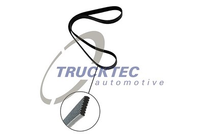 Trucktec Automotive Keilrippenriemen [Hersteller-Nr. 08.19.262] für BMW von TRUCKTEC AUTOMOTIVE