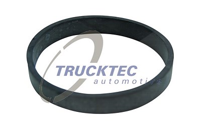 Trucktec Automotive Dichtung, Ansaugkrümmer [Hersteller-Nr. 02.16.022] für Chrysler, Jeep, Mercedes-Benz von TRUCKTEC AUTOMOTIVE