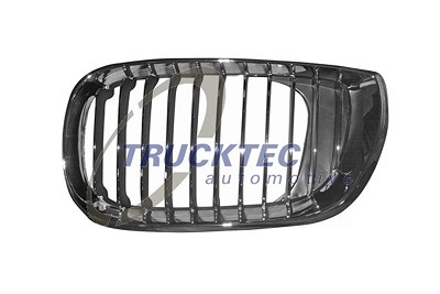 Trucktec Automotive Kühlergitter [Hersteller-Nr. 08.62.298] für BMW von TRUCKTEC AUTOMOTIVE