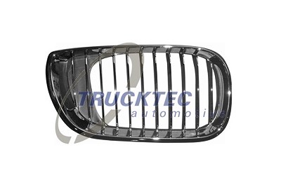 Trucktec Automotive Kühlergitter [Hersteller-Nr. 08.62.306] für BMW von TRUCKTEC AUTOMOTIVE