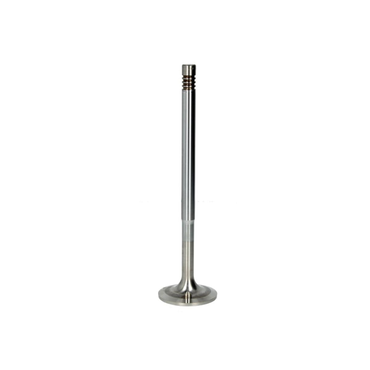 TRW Automotive AfterMarket 105-35639 Einlaßventil TRW Automotive AfterMarket 105-35639 Einlaßventil von TRW