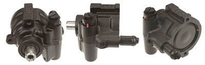Trw Hydraulikpumpe, Lenkung -AUSTAUSCHTEIL [Hersteller-Nr. JPR911] für Dacia, Lada, Renault von TRW