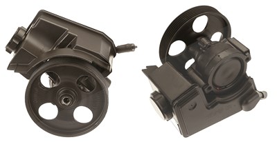 Trw Hydraulikpumpe, Lenkung -AUSTAUSCHTEIL [Hersteller-Nr. JPR838] für Peugeot von TRW