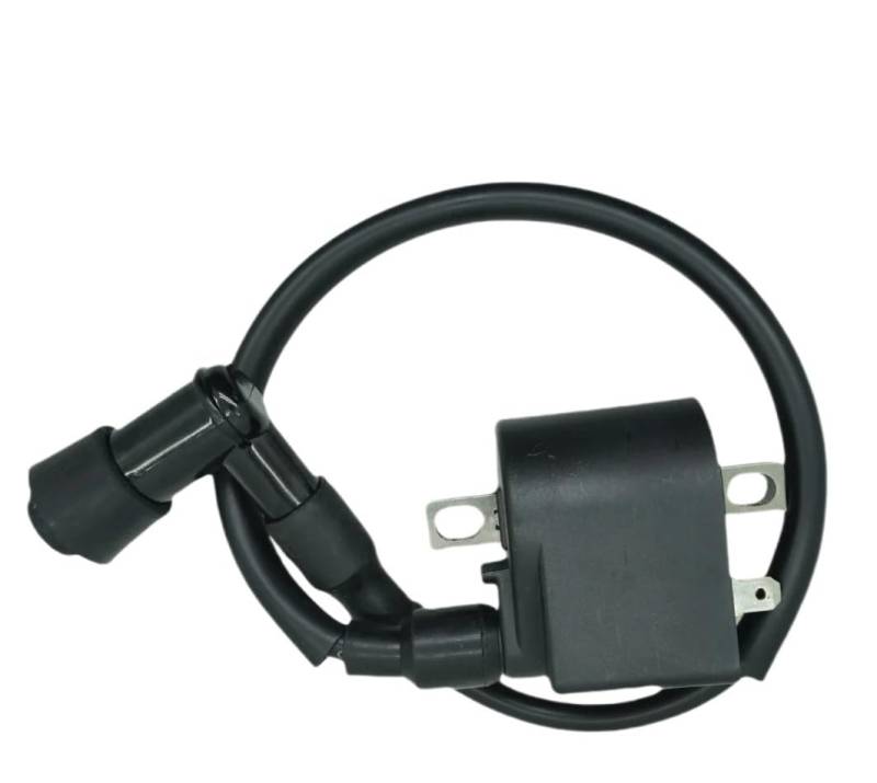 TRyYCB Kompatibel mit AX100 Motorrad elektronische Zündspule geeignet Kompatibel mit FZ50 FR80 AK100 LX100-6 KR150 RC80 100 33410-35330 2T von TRyYCB