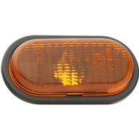 TYC Blinker beidseitig 18-0665-01-2 Blinklicht,Fahrtrichtungsanzeiger OPEL,RENAULT,NISSAN,Vivaro A Kastenwagen (X83),Vivaro A Combi (X83) TYC Blinker beidseitig 18-0665-01-2 Blinklicht,Fahrtrichtungsanzeiger OPEL,RENAULT,NISSAN,Vivaro A Kastenwagen (X83),Vivaro A Combi (X83) von TYC