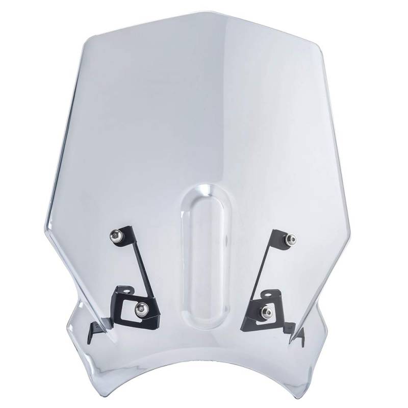 Motorrad-Windschutzscheibe für CB125R 2018-2023 CB250R 2018-2022 CB300R 2018-2023 Windabweiser Fliegengitter Visier Parabrisa Protector (Light Smoke) von TaTonCycle