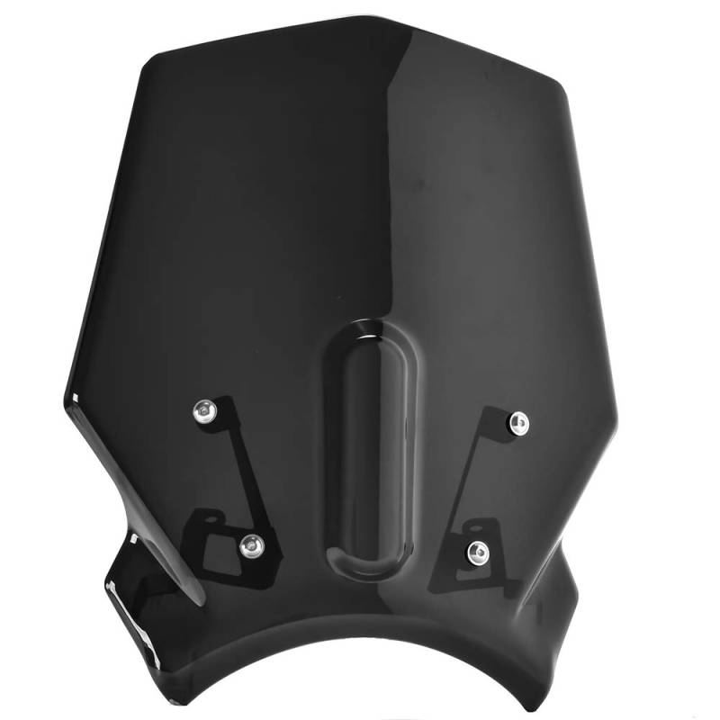 Motorrad-Windschutzscheibe für CB125R 2018-2023 CB250R 2018-2022 CB300R 2018-2023 Windabweiser Fliegengitter Visier Parabrisa Protector (Rauch) von TaTonCycle
