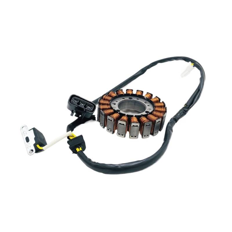 Magnetischer Motor-Magneto-Statoranzug (EFI-Modell) for Linhai 400cc Quad 4x4 ATV UTV QUAD GO KART Ersatzteile von TcHUYAn