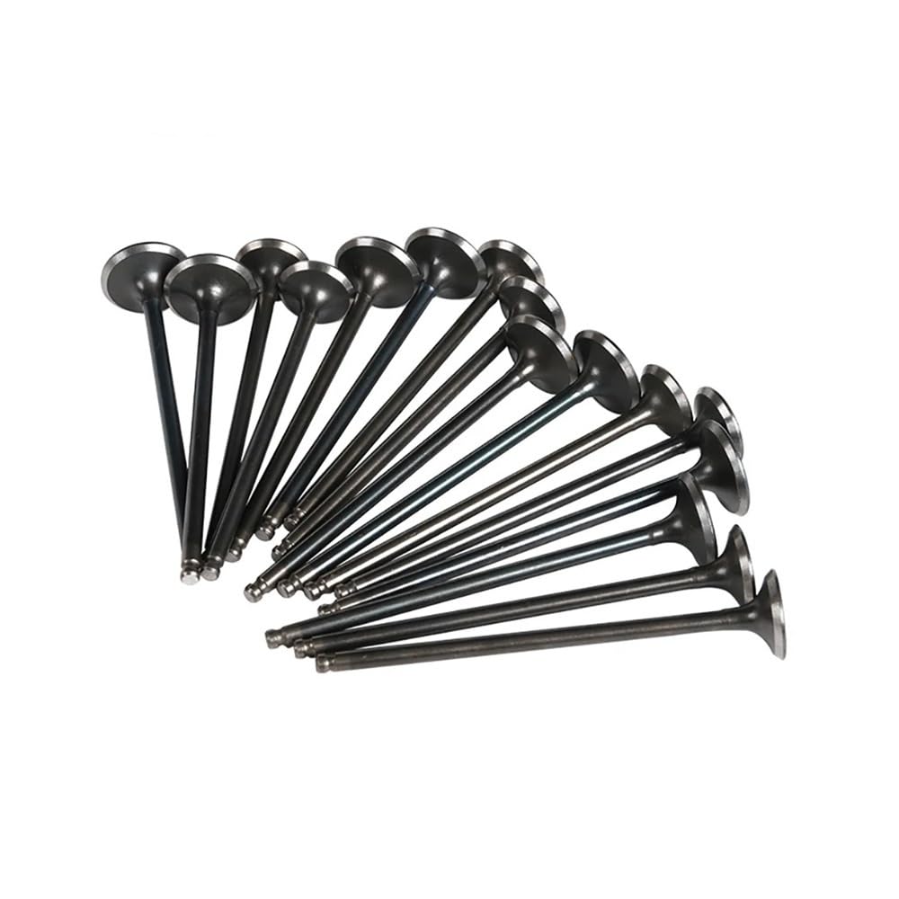 Motorrad-Einlassventil und Auslassventilschaft-Kit for YMH 3LN FZR250 FZR250R 1990-1995 FZR250R EXUP FZR 250 1996 Zee 1997 Ersatzteile(8x intake 8x exhaust) von TcHUYAn