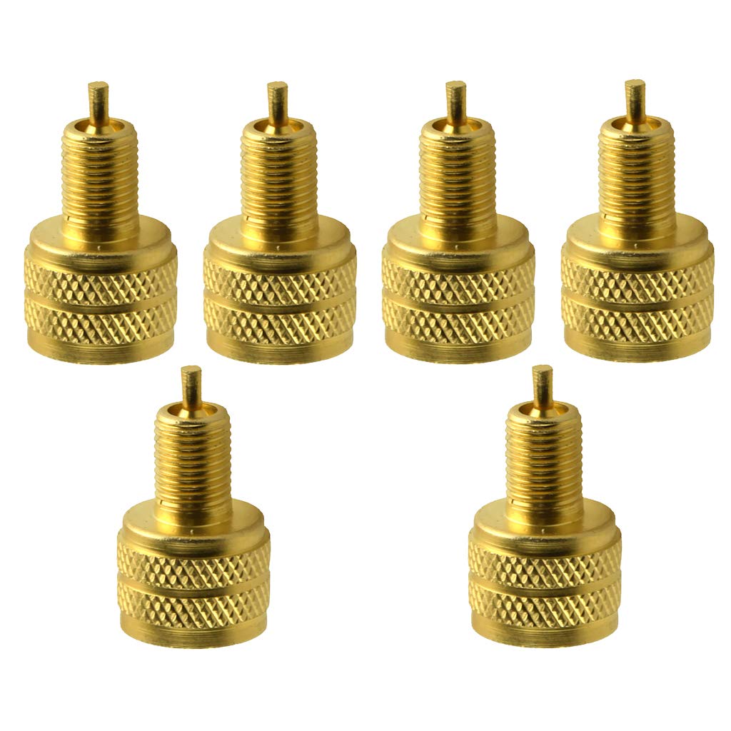 Teesea 6 x externer goldener Reifenventil-Adapter, Reduzierstück, 22 mm Länge, Messing, Kupfer, Gummi Teesea 6 x externer goldener Reifenventil-Adapter, Reduzierstück, 22 mm Länge, Messing, Kupfer, Gummi von Teesea