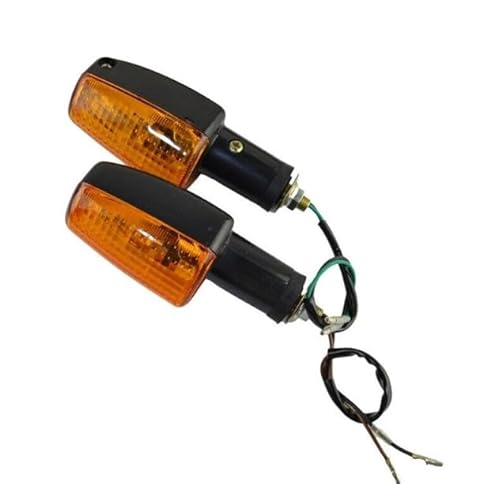 TERAM LOISIRS Blinker, kompatibel mit Honda CB 1300, Frankreich von Teram Loisirs