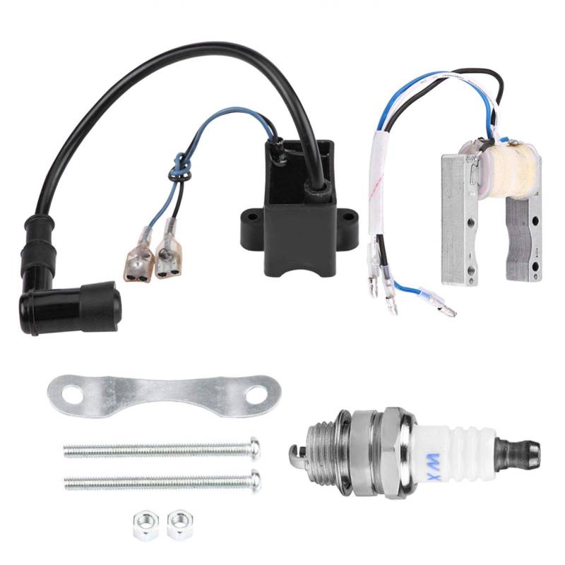 CDI Zündspulenmagnet mit Zündkerze für motorisierte 49ccm 66ccm 80ccm Motor Fahrradzündkerze von Terisass