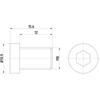 Schraube, Bremsscheibe TEXTAR TPM0009 von Textar