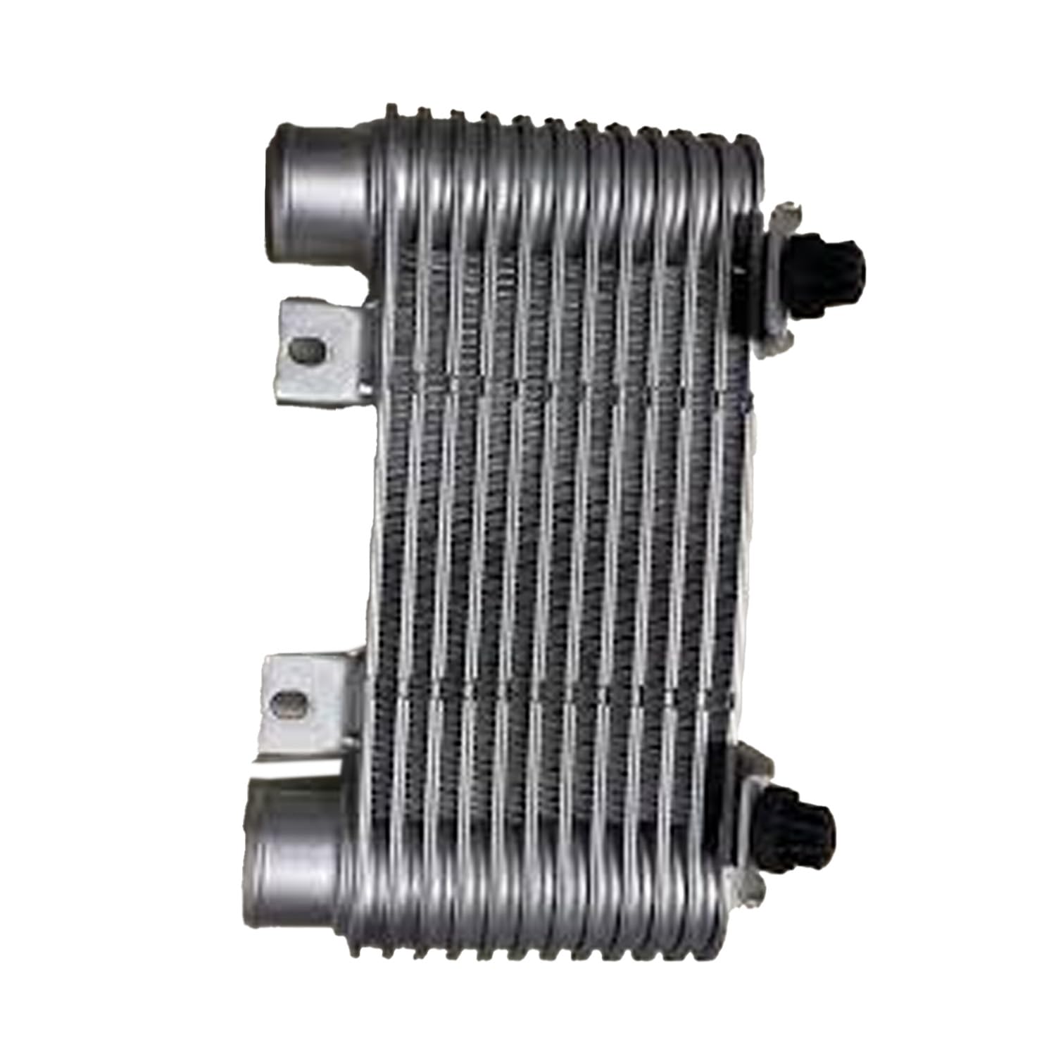 Texxparts 56010-ZL64 Ladeluftkühler WL85-13-550 Kompatibel mit Mazda Truck BT50 2006 Kompatibel mit Ford Ranger Texxparts 56010-ZL64 Ladeluftkühler WL85-13-550 Kompatibel mit Mazda Truck BT50 2006 Kompatibel mit Ford Ranger von Texxparts