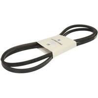 Keilrippenriemen THERMO KING 780928 von Thermo King