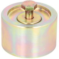 Keilrippenriemenspannrolle THERMO KING 773186 von Thermo King