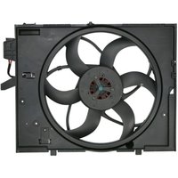 Lüfter, Motorkühlung THERMOTEC D8B011TT von Thermotec