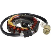 Lichtmaschinenstator TOURMAX STA-208V von Tourmax