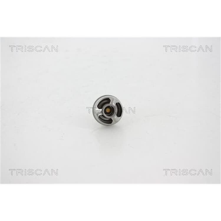 2 Triscan Gasfedern F?r Heckklappe L?nge 440 Renault Megane 1 Schr?gheck 2 Triscan Gasfedern F?r Heckklappe L?nge 440 Renault Megane 1 Schr?gheck von Triscan