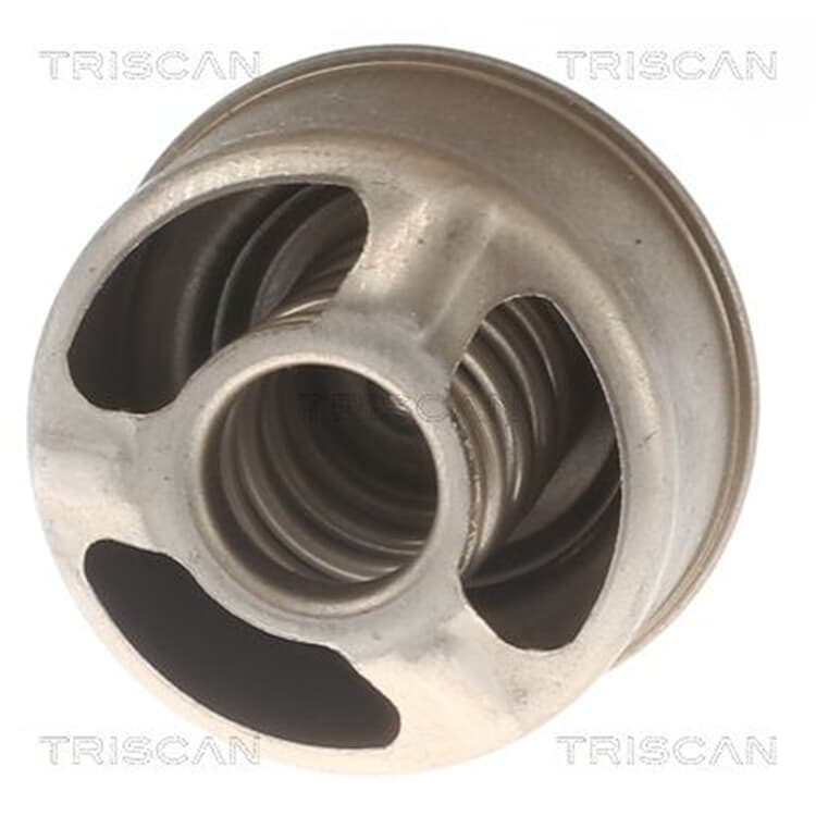 2 Triscan Gasfedern F?r Heckklappe Renault Megane Scenic I 2 Triscan Gasfedern F?r Heckklappe Renault Megane Scenic I von Triscan