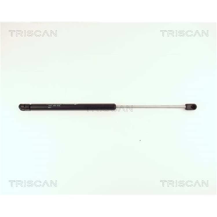 2 Triscan Gasfedern F?r Heckklappe L?nge 445 Fiat Punto 176 2 Triscan Gasfedern F?r Heckklappe L?nge 445 Fiat Punto 176 von Triscan