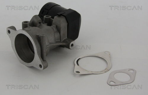 AGR-Ventil Triscan 8813 10001 von Triscan