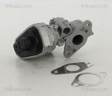 AGR-Ventil Triscan 8813 10002 von Triscan