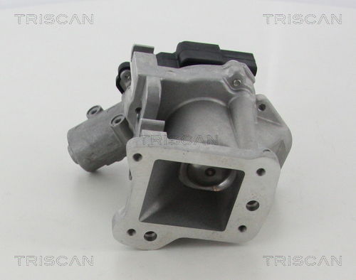 AGR-Ventil Triscan 8813 10007 AGR-Ventil Triscan 8813 10007 von Triscan