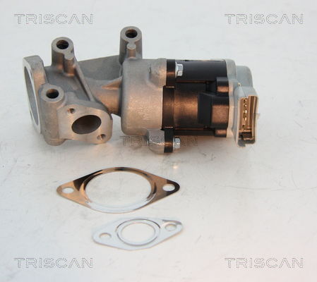 AGR-Ventil Triscan 8813 10008 von Triscan