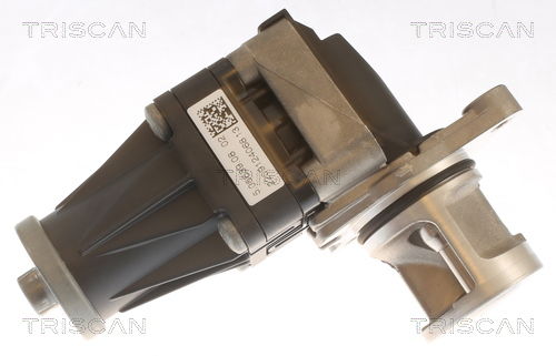 AGR-Ventil Triscan 8813 10053 AGR-Ventil Triscan 8813 10053 von Triscan