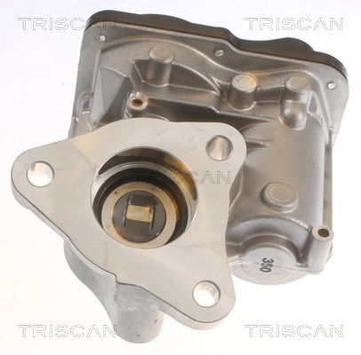 AGR-Ventil Triscan 8813 10055 AGR-Ventil Triscan 8813 10055 von Triscan