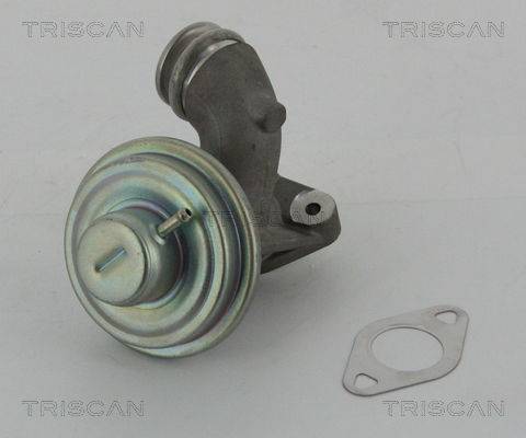 AGR-Ventil Triscan 8813 10102 von Triscan
