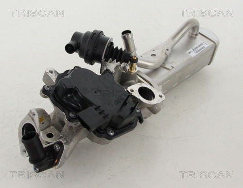 AGR-Ventil Triscan 8813 10203 von Triscan