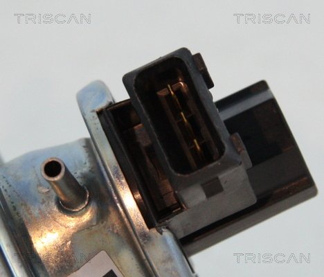 AGR-Ventil Triscan 8813 11002 von Triscan