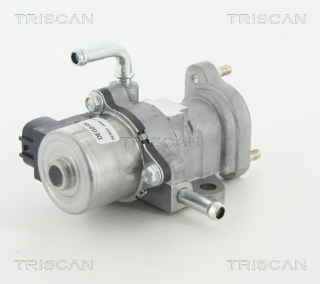 AGR-Ventil Triscan 8813 13002 AGR-Ventil Triscan 8813 13002 von Triscan