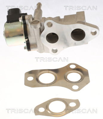 AGR-Ventil Triscan 8813 13015 von Triscan