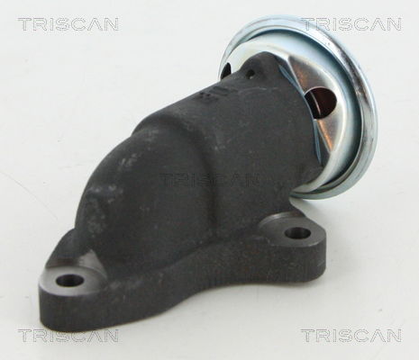 AGR-Ventil Triscan 8813 13064 von Triscan
