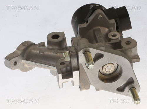 AGR-Ventil Triscan 8813 13067 AGR-Ventil Triscan 8813 13067 von Triscan
