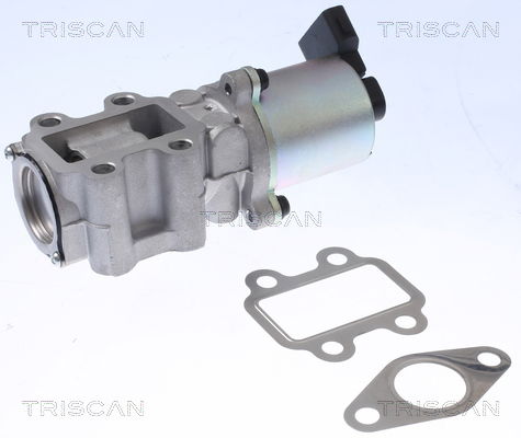 AGR-Ventil Triscan 8813 13100 AGR-Ventil Triscan 8813 13100 von Triscan