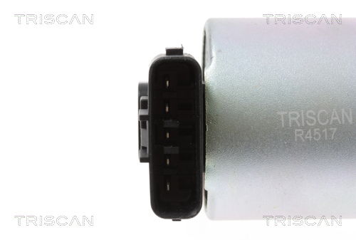 AGR-Ventil Triscan 8813 13101 von Triscan