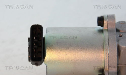 AGR-Ventil Triscan 8813 13102 von Triscan