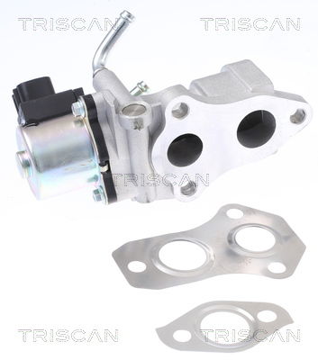 AGR-Ventil Triscan 8813 13201 von Triscan