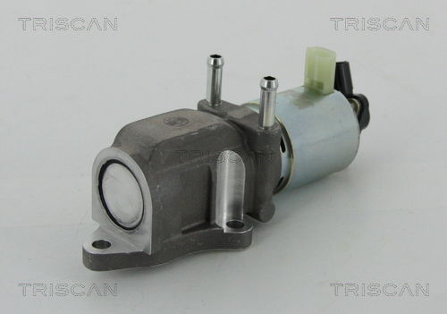 AGR-Ventil Triscan 8813 13202 AGR-Ventil Triscan 8813 13202 von Triscan