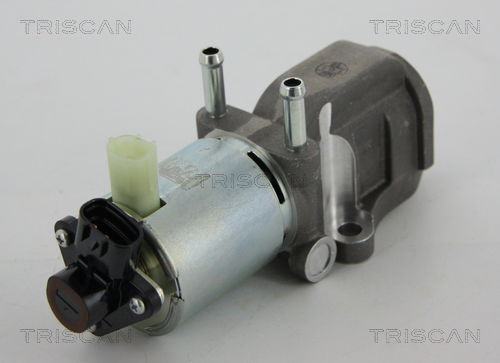 AGR-Ventil Triscan 8813 13202 von Triscan