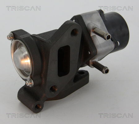 AGR-Ventil Triscan 8813 14005 AGR-Ventil Triscan 8813 14005 von Triscan