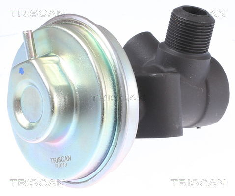 AGR-Ventil Triscan 8813 14008 AGR-Ventil Triscan 8813 14008 von Triscan