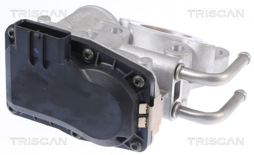 AGR-Ventil Triscan 8813 14010 AGR-Ventil Triscan 8813 14010 von Triscan