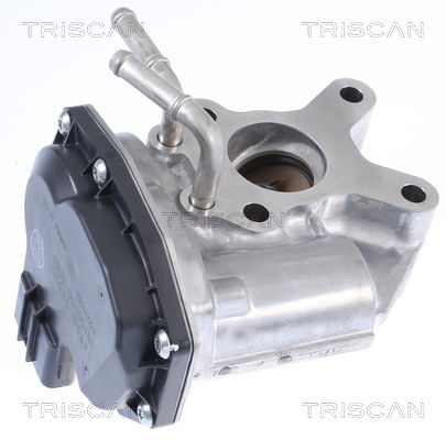 AGR-Ventil Triscan 8813 14015 AGR-Ventil Triscan 8813 14015 von Triscan